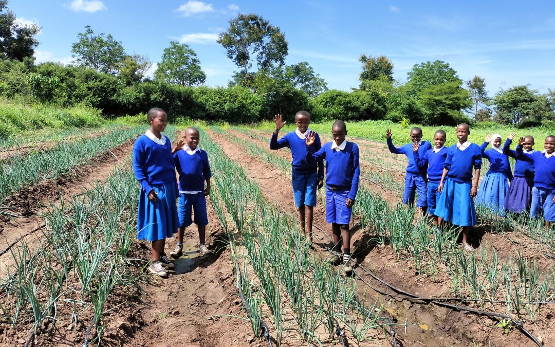 Slashed aid, sustainable investments: funding interventions that generate economic, social and environmental capital.