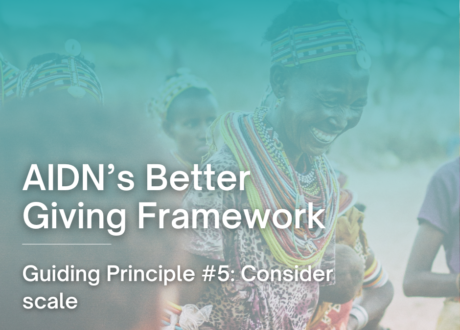 AIDN’s Better Giving Framework – Guiding Principle #5: Consider scale