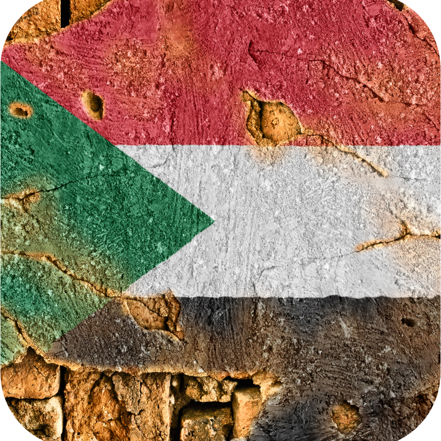 Emergency Briefing: Sudan – The Ignored Crisis