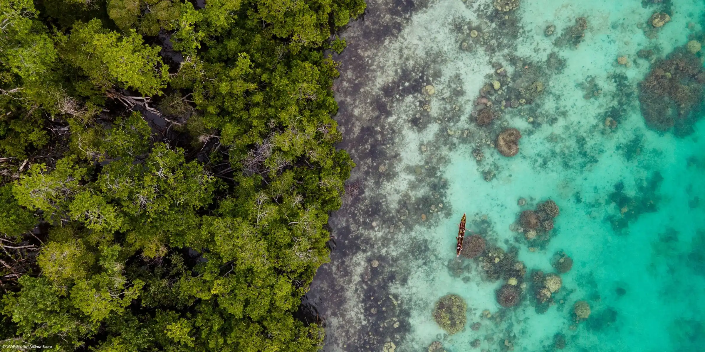 Breakfast with the WWF – Investing at the Intersection: Nature, Communities & Climate