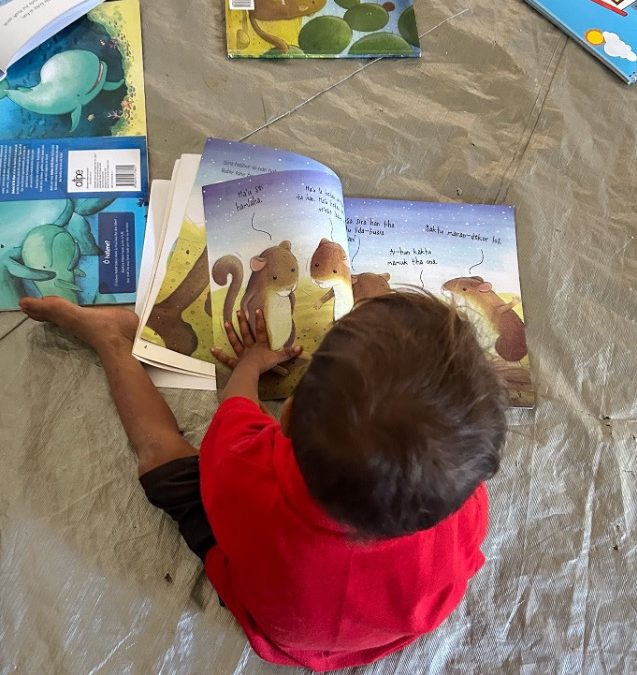 A new model for collaborative philanthropic partnership: perspectives from Timor-Leste’s education system.
